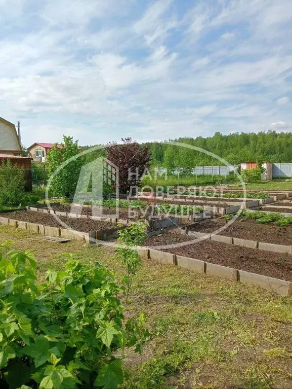 Участок в Пермский край, Добрянка Канал садовые участки, ул. ... - Фото 1