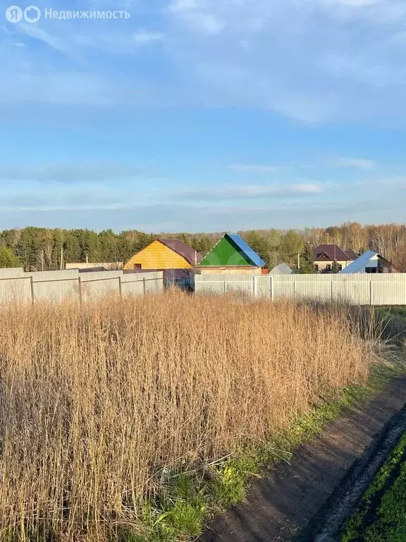 Участок в Тюменский муниципальный округ, село Кулига, Транспортная ... - Фото 2