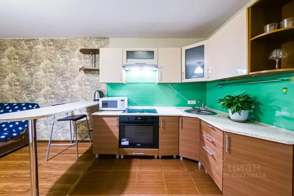 Студия Свердловская область, Екатеринбург ул. Рощинская, 41 (25.0 м) - Фото 2