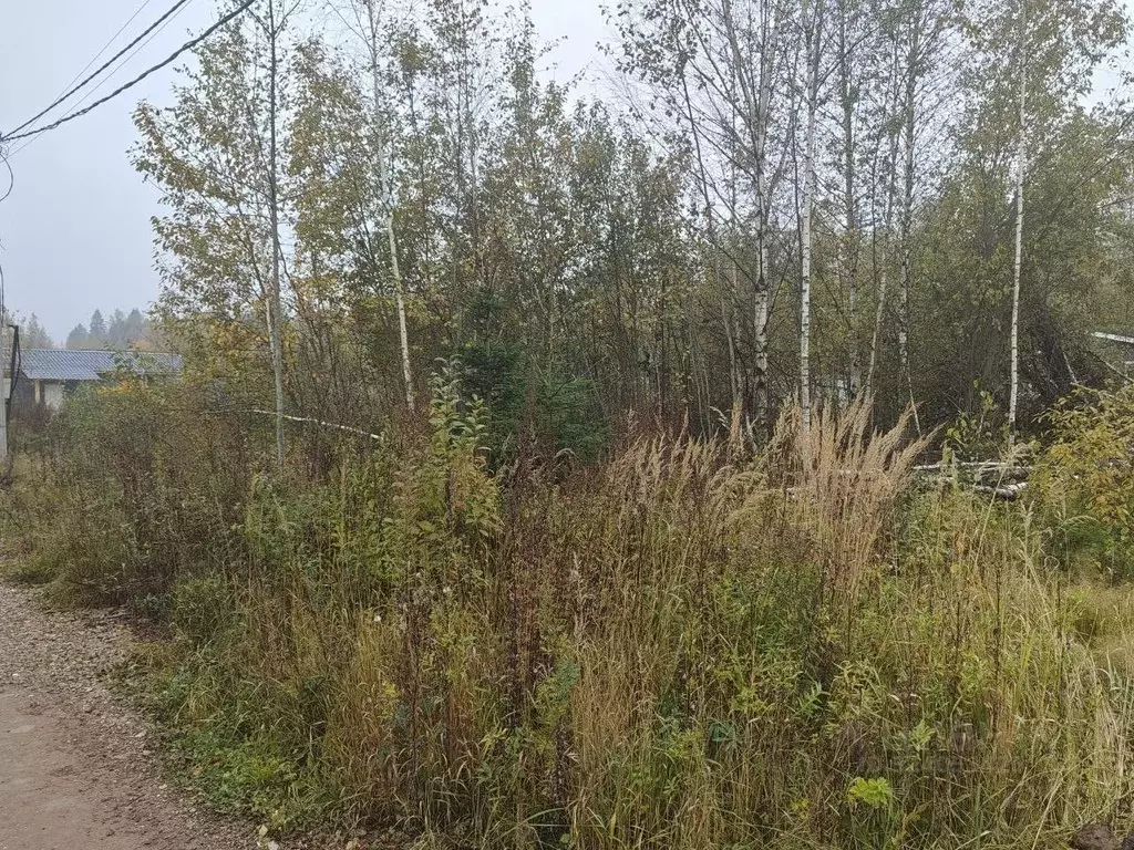 Участок в Московская область, Мытищи городской округ, с. Марфино ул. ... - Фото 1