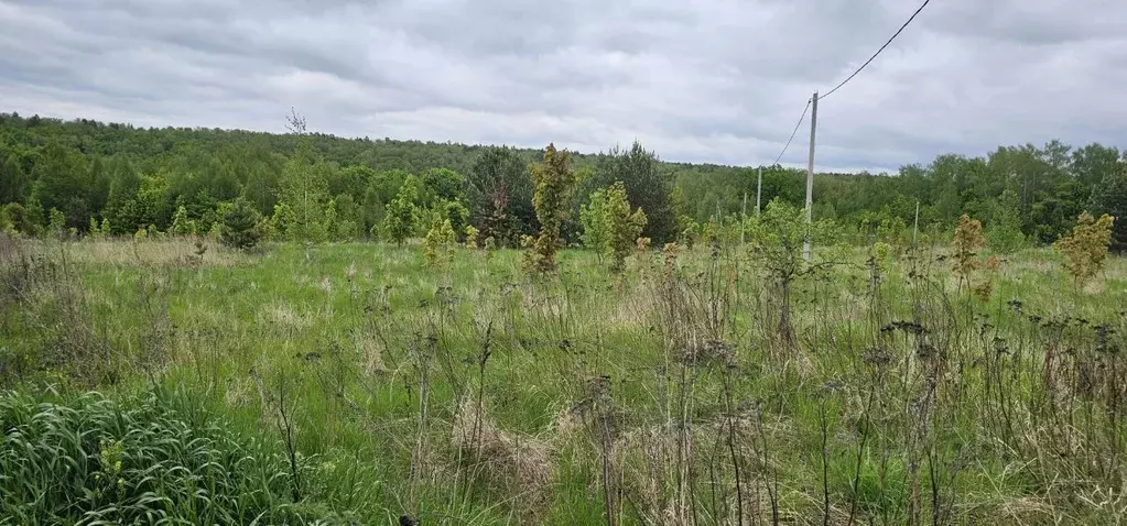 Участок в Московская область, Луховицы муниципальный округ, д. Берхино ... - Фото 0