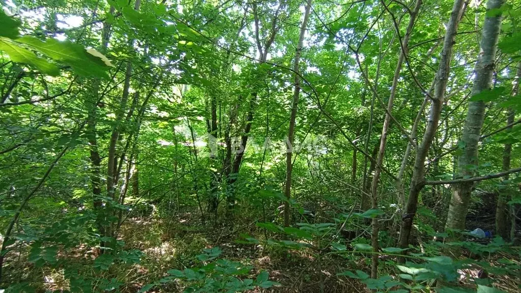 Участок в Новороссийск, СНТ Родничок (6 м) - Фото 1