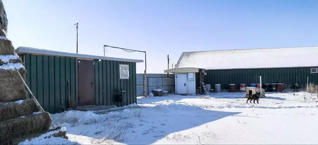 Склад в Саратовская область, Бартоломеевский хут. ул. Центральная, 56А ... - Фото 1