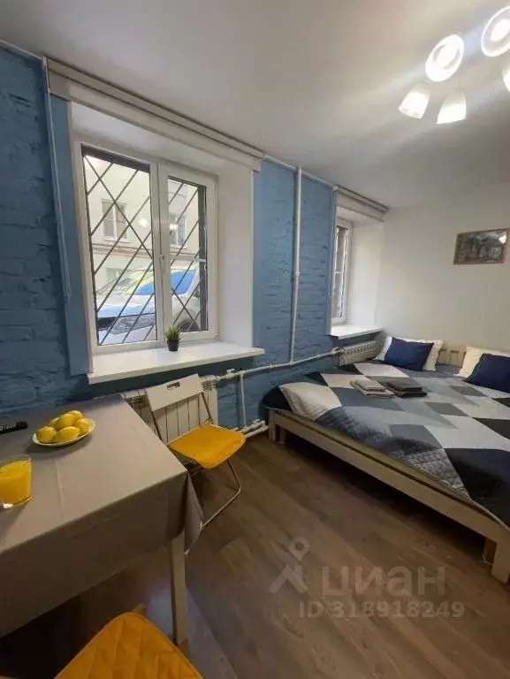 1-к кв. Санкт-Петербург наб. Реки Фонтанки, 75 (15.0 м) - Фото 1