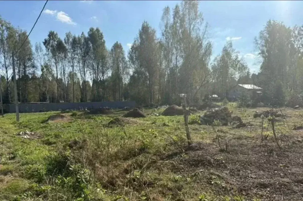 Участок в Московская область, Раменский муниципальный округ, Гжельский ... - Фото 2