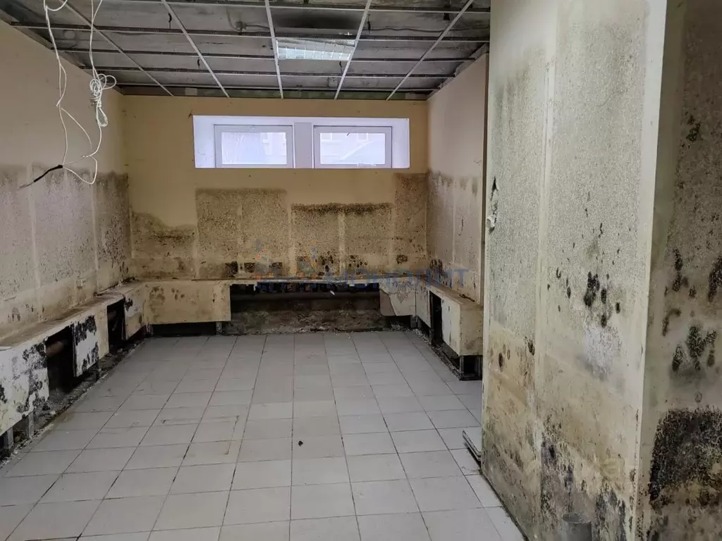 Помещение свободного назначения в Нижегородская область, Нижний ... - Фото 2