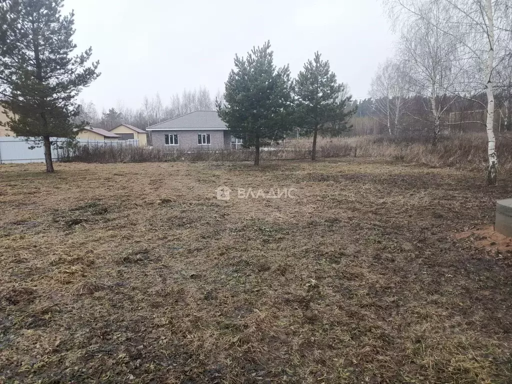 Участок в Владимирская область, Суздальский район, Боголюбовское ... - Фото 1