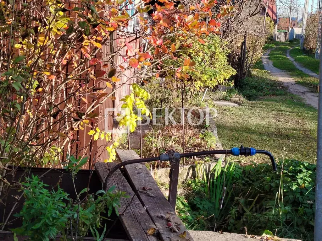 Участок в Костромская область, Кострома Северный СНТ, 50 (9.8 сот.) - Фото 2