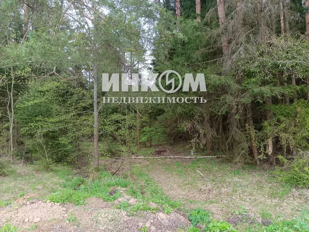 Участок в Московская область, Солнечногорск городской округ, Семейный ... - Фото 1