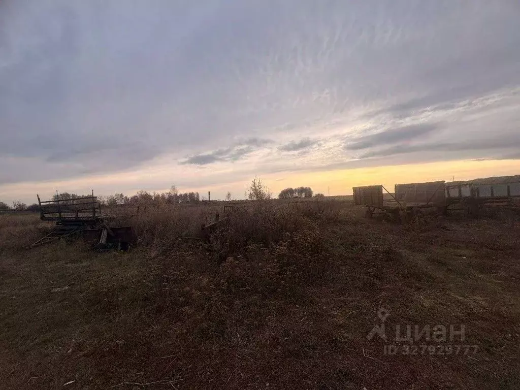 Участок в Курганская область, Кетовский муниципальный округ, с. ... - Фото 2