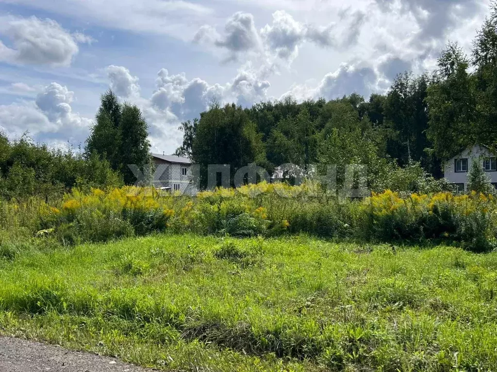 Участок в Новосибирская область, Новосибирский район, Каменский ... - Фото 1