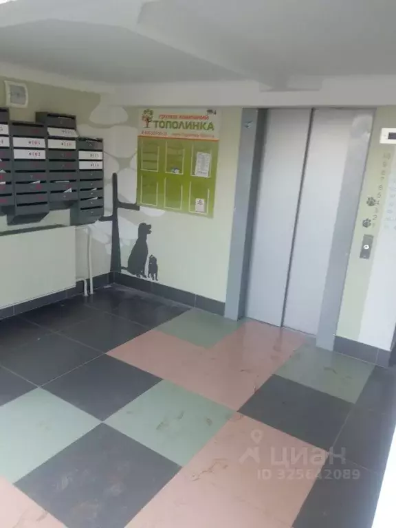 3-к кв. Челябинская область, Челябинский городской округ, пос. ... - Фото 2