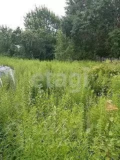 Участок в Брянская область, Брянский район, Новодарковичское с/пос, д. ... - Фото 0