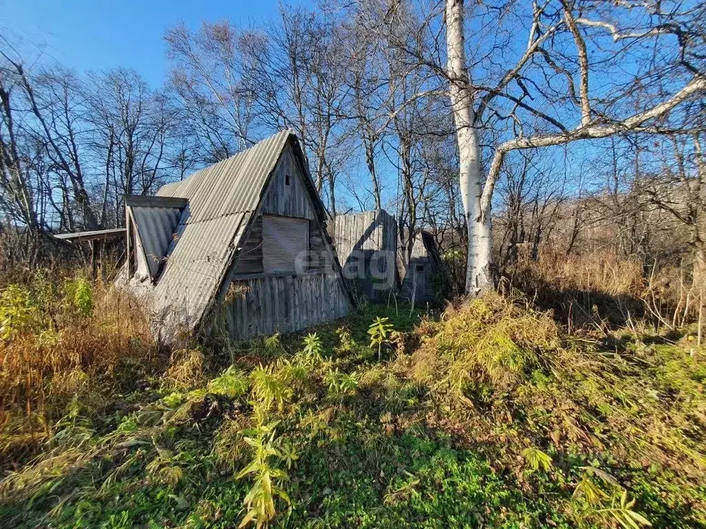 Участок в Камчатский край, Елизовское городское поселение, Пограничный ... - Фото 0