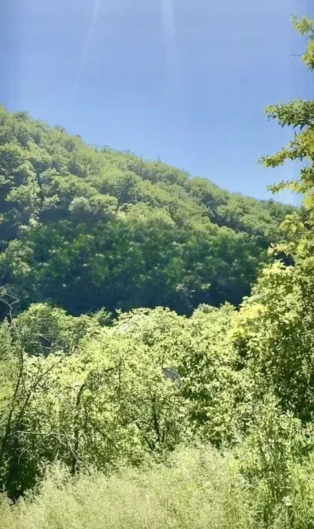 Дом в Краснодарский край, Туапсинский муниципальный округ, ... - Фото 2