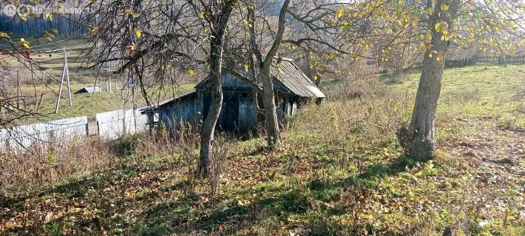 Дом в Алтайский район, посёлок Большая Кыркыла, Берёзовая улица (25 м) - Фото 0