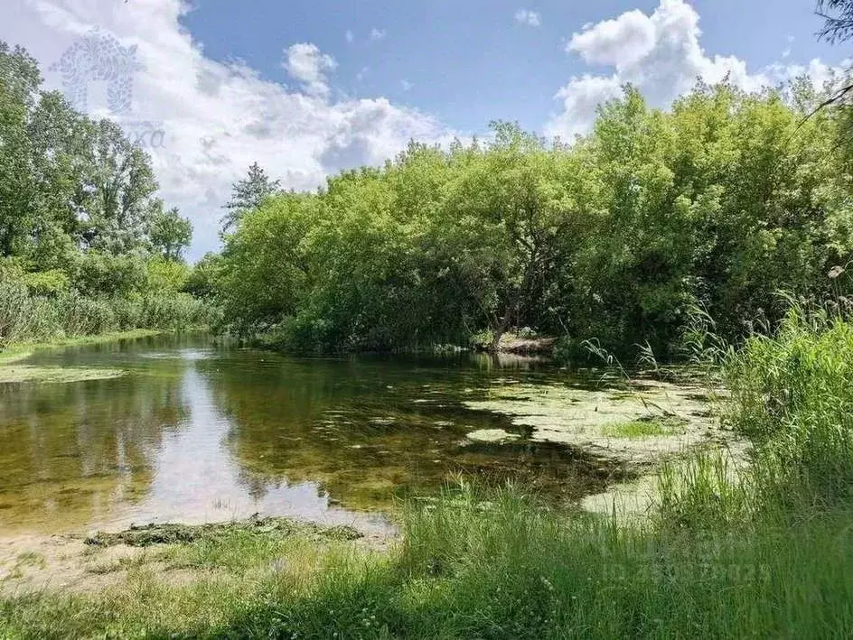 Дом в Воронежская область, Острогожск городское поселение, с. Новая ... - Фото 2