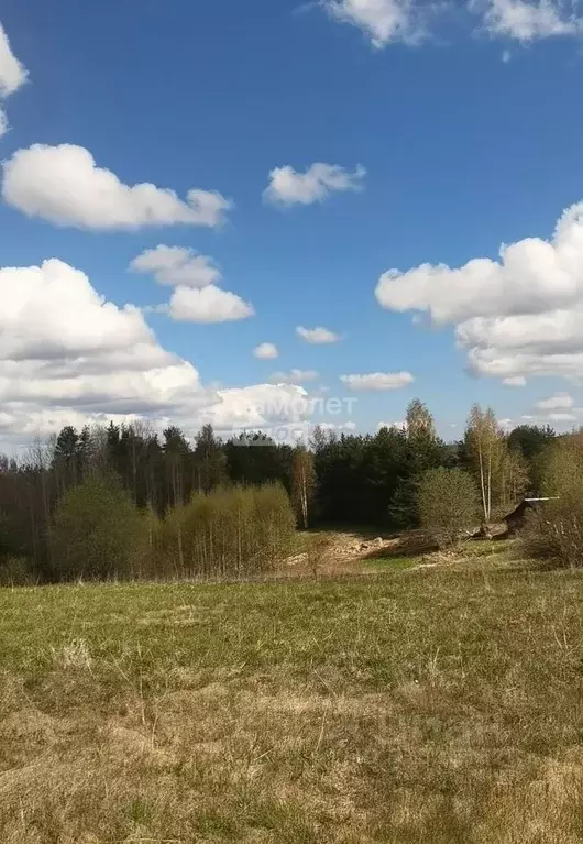 Участок в Ленинградская область, Приозерский район, Красноозерное ... - Фото 1
