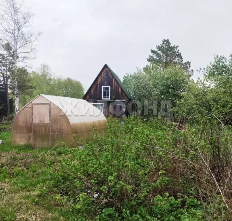 Участок в Новосибирская область, Мошковский район, Высота СНТ  (4.0 ... - Фото 2