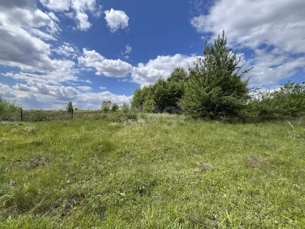 Участок в Воронежская область, Рамонский район, Русскогвоздевское ... - Фото 0