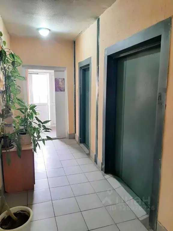 1-к кв. Псковская область, Псков ул. Кузбасской Дивизии, 12 (36.6 м) - Фото 2