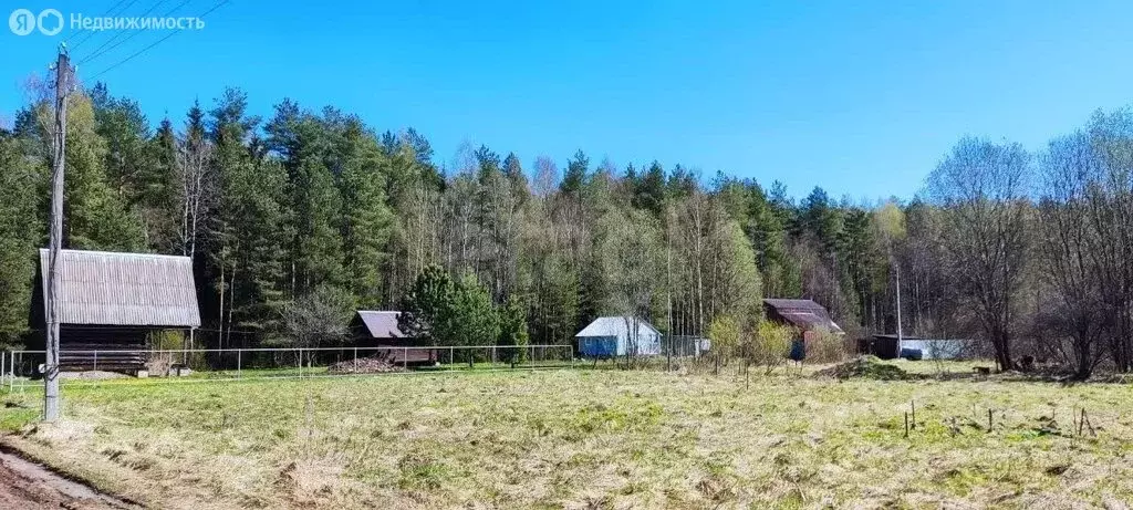 Участок в Тверская область, Калининский муниципальный округ, СНТ ... - Фото 2
