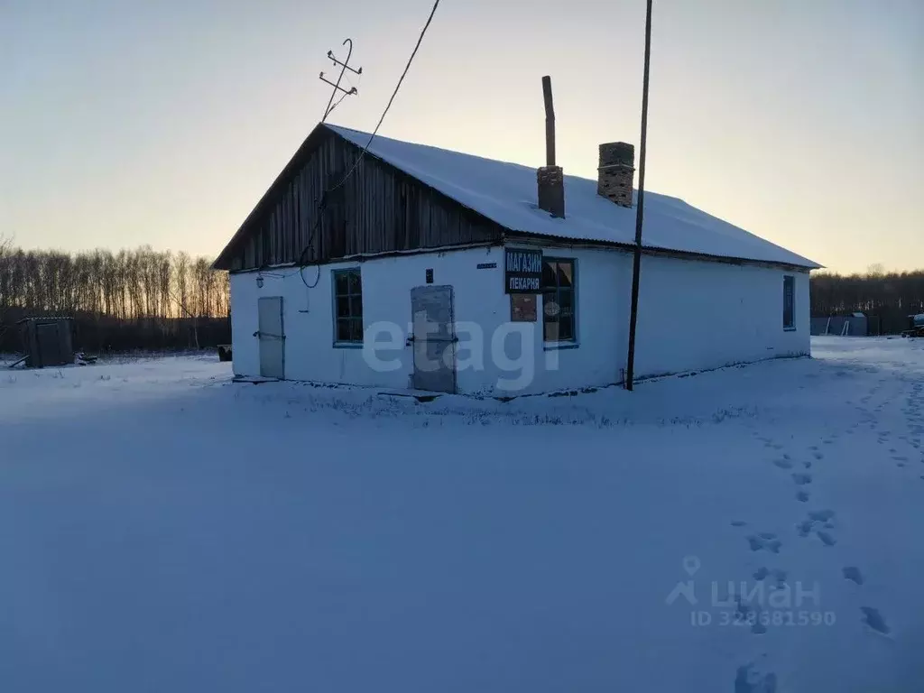 Участок в Тюменская область, Нижнетавдинский муниципальный округ, пос. ... - Фото 1