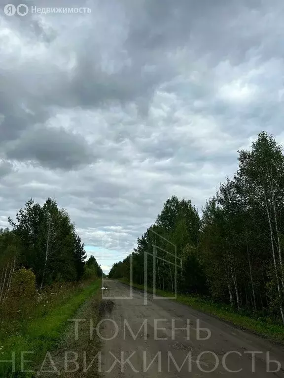 Участок в Нижнетавдинский район, село Тюнево (8.01 м) - Фото 0