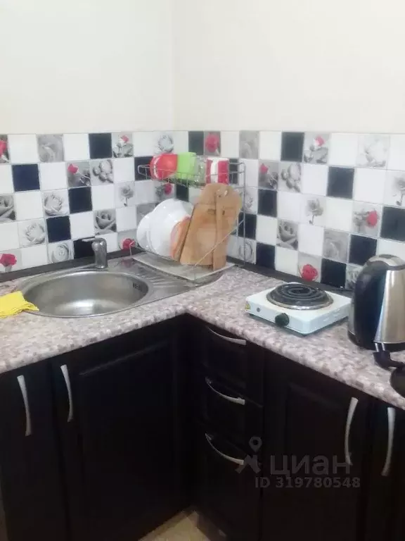 1-к кв. Алтайский край, Барнаул просп. Строителей, 40 (27.0 м) - Фото 0