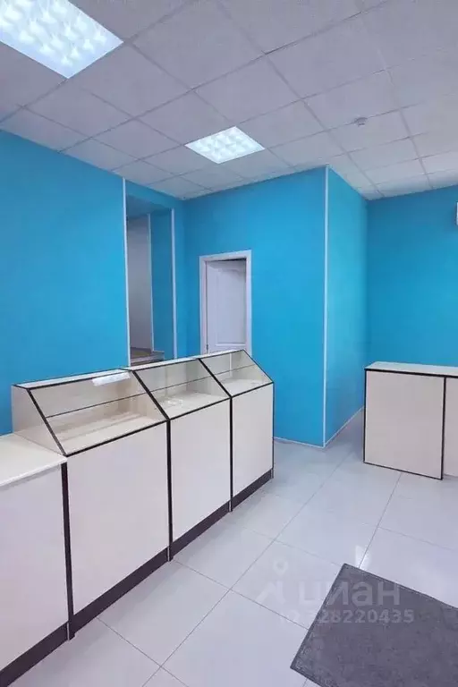 Помещение свободного назначения в Башкортостан, Уфа просп. Октября, ... - Фото 2