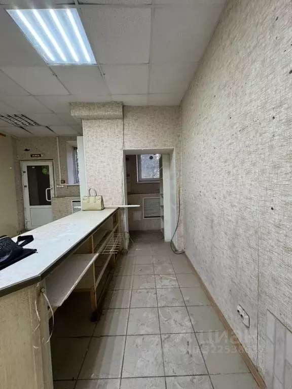 Помещение свободного назначения в Ленинградская область, Всеволожск ... - Фото 1