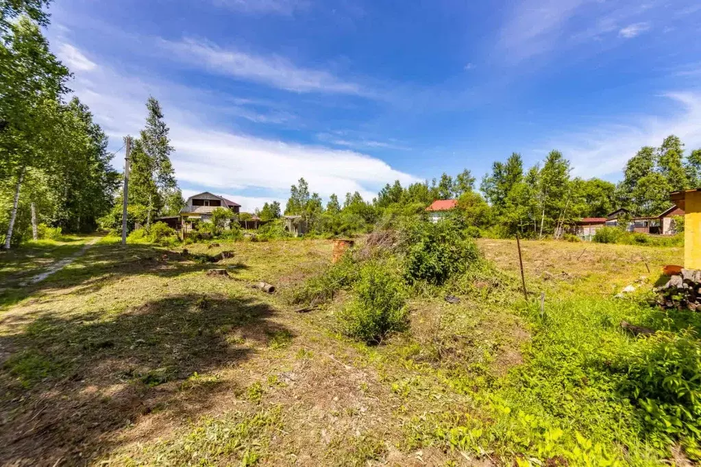 Участок в Хабаровский край, Хабаровский район, с. Скворцово, Скворцово ... - Фото 2