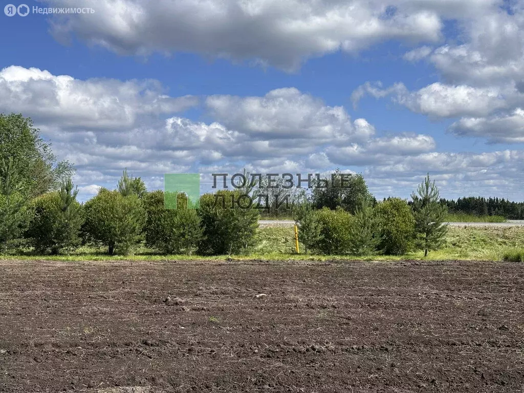 Участок в Вологодский муниципальный округ, деревня Бурдуково (29.4 м) - Фото 0