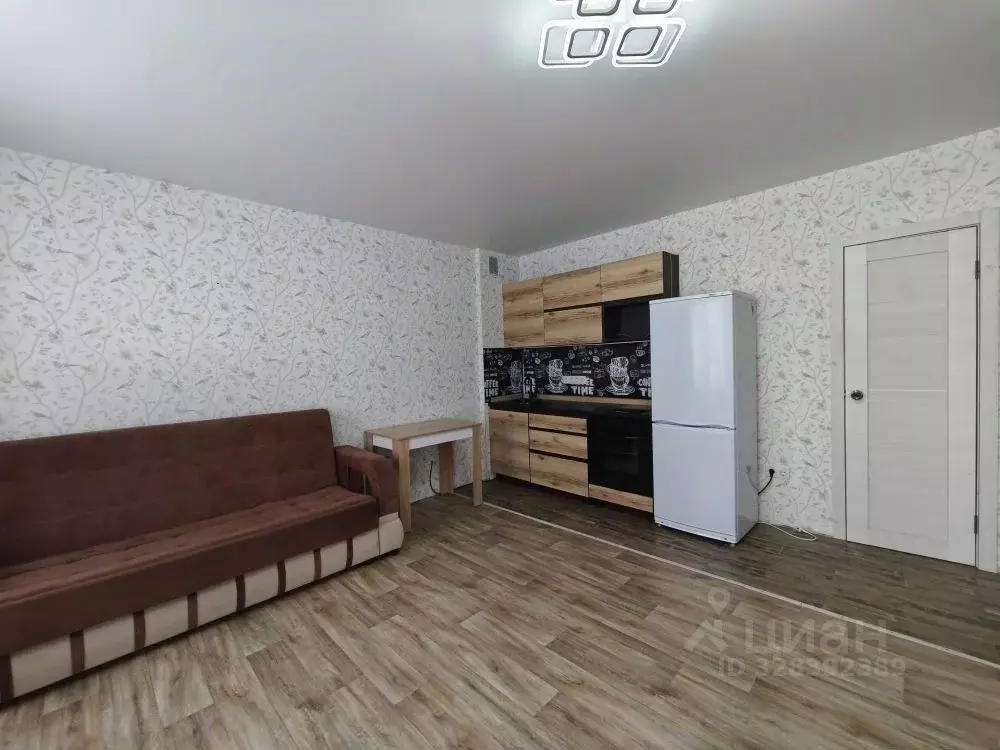 Студия Новосибирская область, Мошковский район, пос. Октябрьский ул. ... - Фото 1