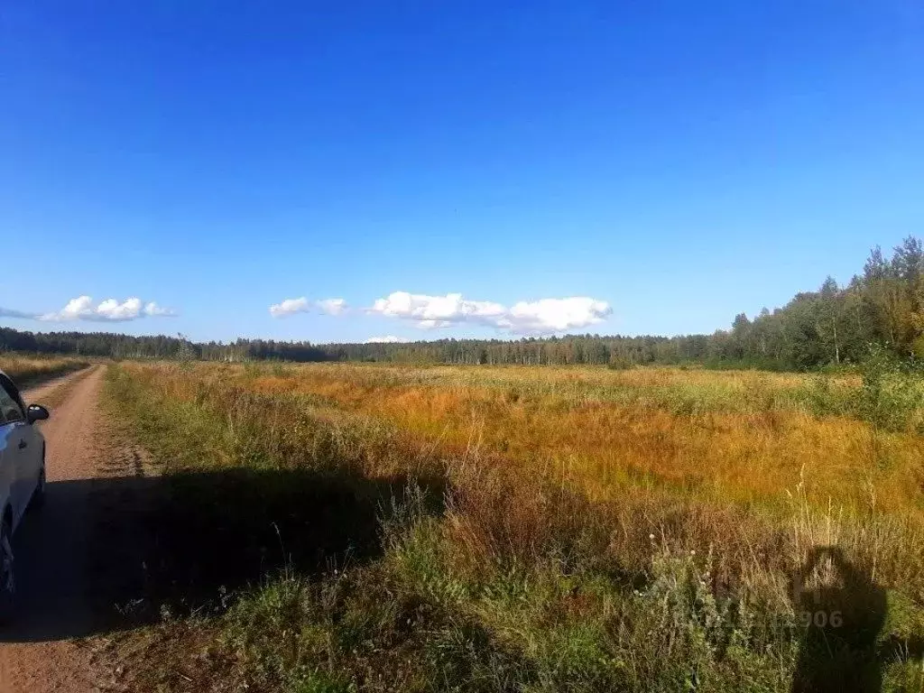 Участок в Ленинградская область, Приозерский район, Красноозерное ... - Фото 0