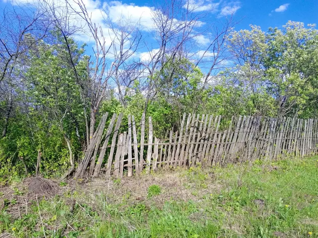 Участок в Рязанская область, Рязань Планета СТ,  (8.0 сот.) - Фото 1
