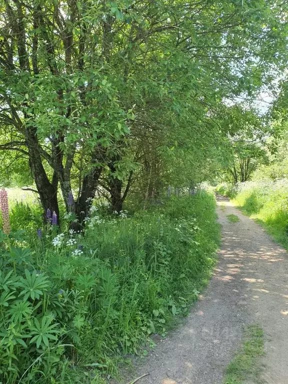 Дом в Московская область, Солнечногорск городской округ, Прогресс-96 ... - Фото 2