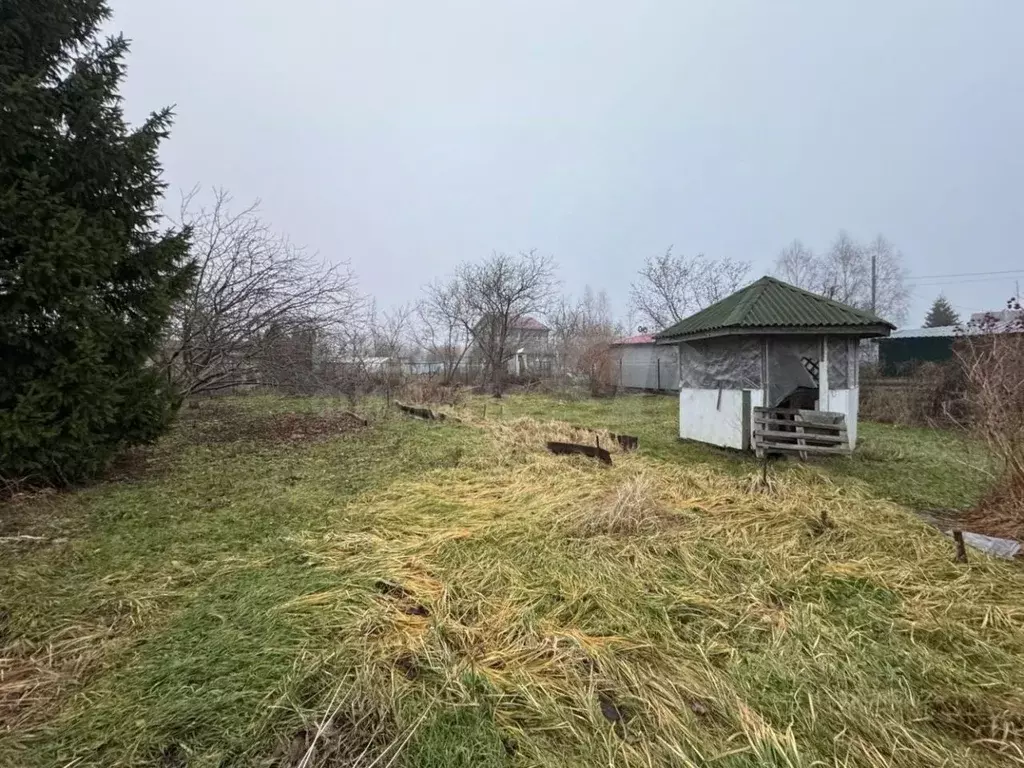 Участок в Калининградская область, Калининград Чайка СНТ, ул. ... - Фото 1