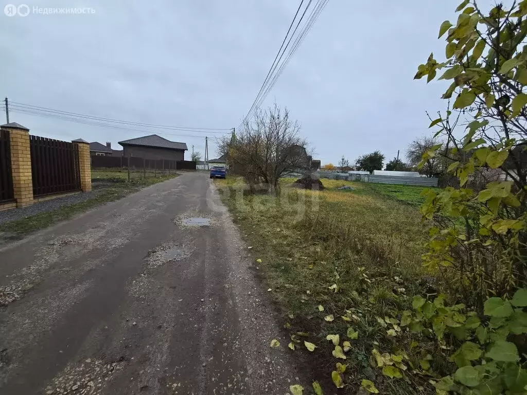 Участок в Толмачево, СДТ Дачное (7.8 м) - Фото 1