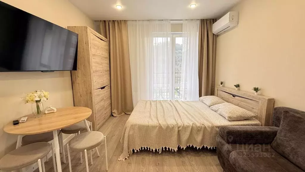 Студия Краснодарский край, Сочи ул. Искры, 88к3 (29.0 м) - Фото 2
