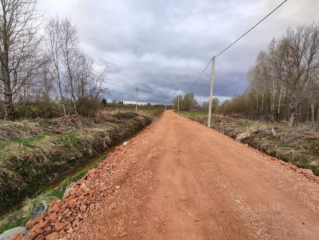 Участок в Новгородская область, Новгородский район, Савинское с/пос, ... - Фото 1