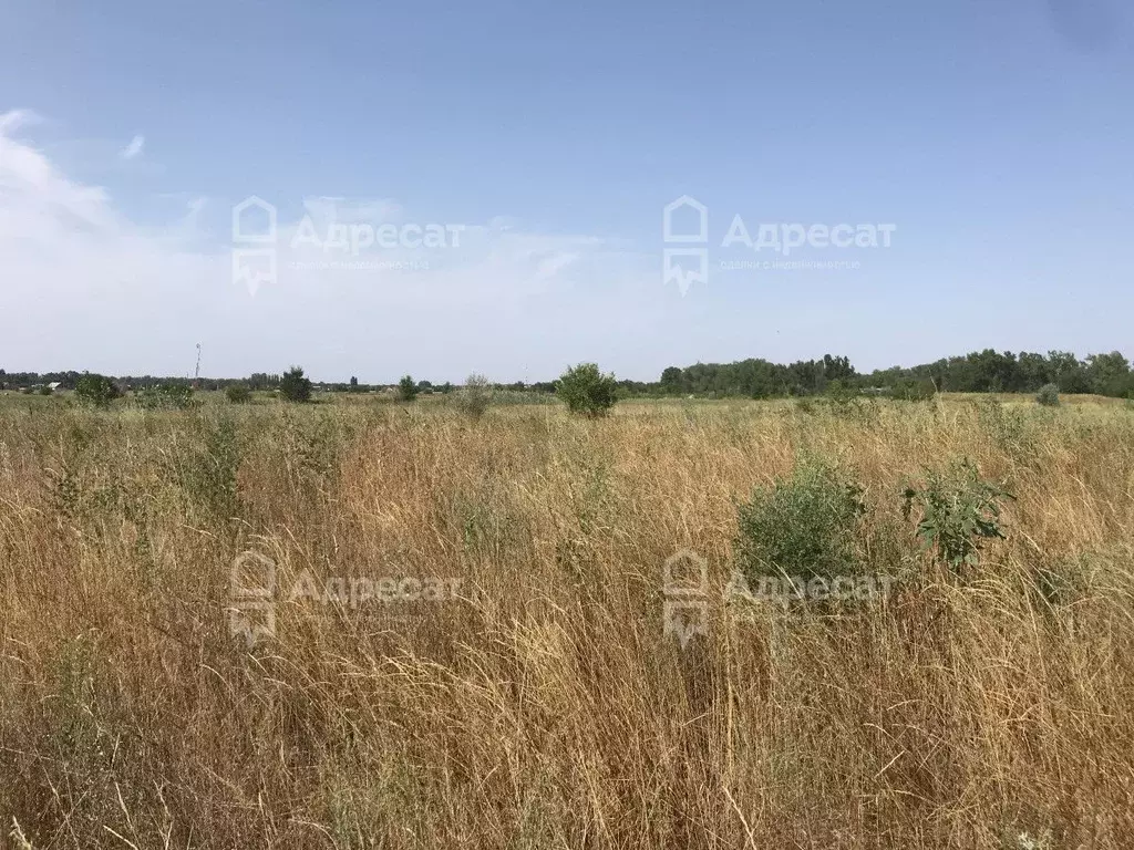 Участок в Волгоградская область, Среднеахтубинский район, Куйбышевское ... - Фото 1