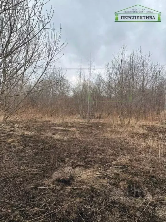Участок в Приморский край, Артемовский городской округ, с. Ясное ул. ... - Фото 1