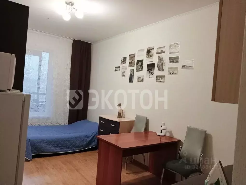 Студия Санкт-Петербург просп. Ветеранов, 169к2 (24.0 м) - Фото 2