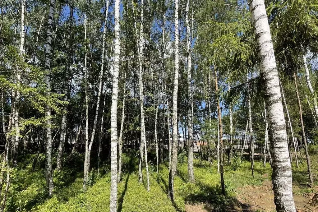 Участок в Московская область, Красногорск городской округ, д. ... - Фото 1