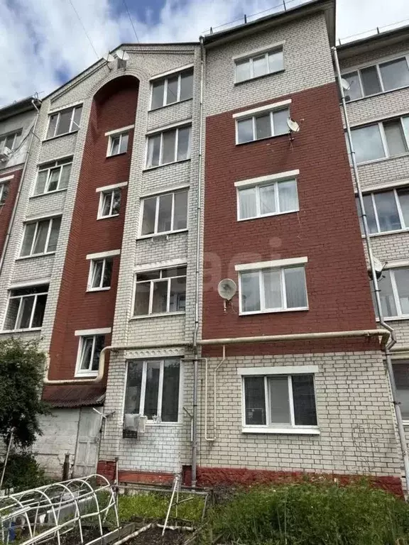 1-к кв. Брянская область, Брянский район, Новодарковичское с/пос, пос. ... - Фото 1