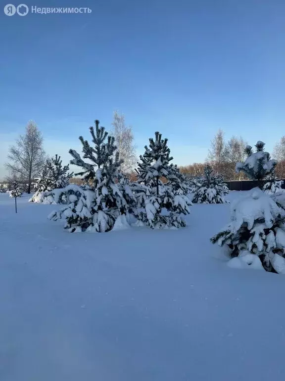 Участок в сельское поселение Малаховское, КП Нова лайф (12.2 м) - Фото 2