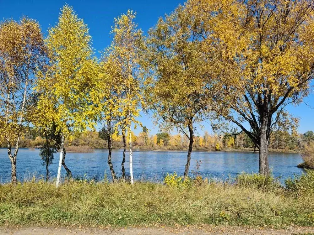 Дом в Иркутская область, Шелеховский район, Баклашинское муниципальное ... - Фото 2