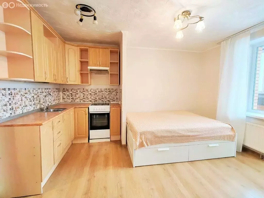 Квартира-студия: Мурино, Новая улица, 7к2 (23.6 м) - Фото 1