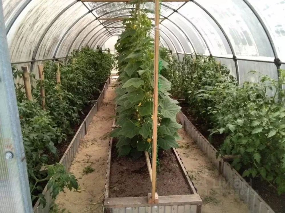 Участок в Самарская область, Шигонский район, с. Суринск Советская ул. ... - Фото 2